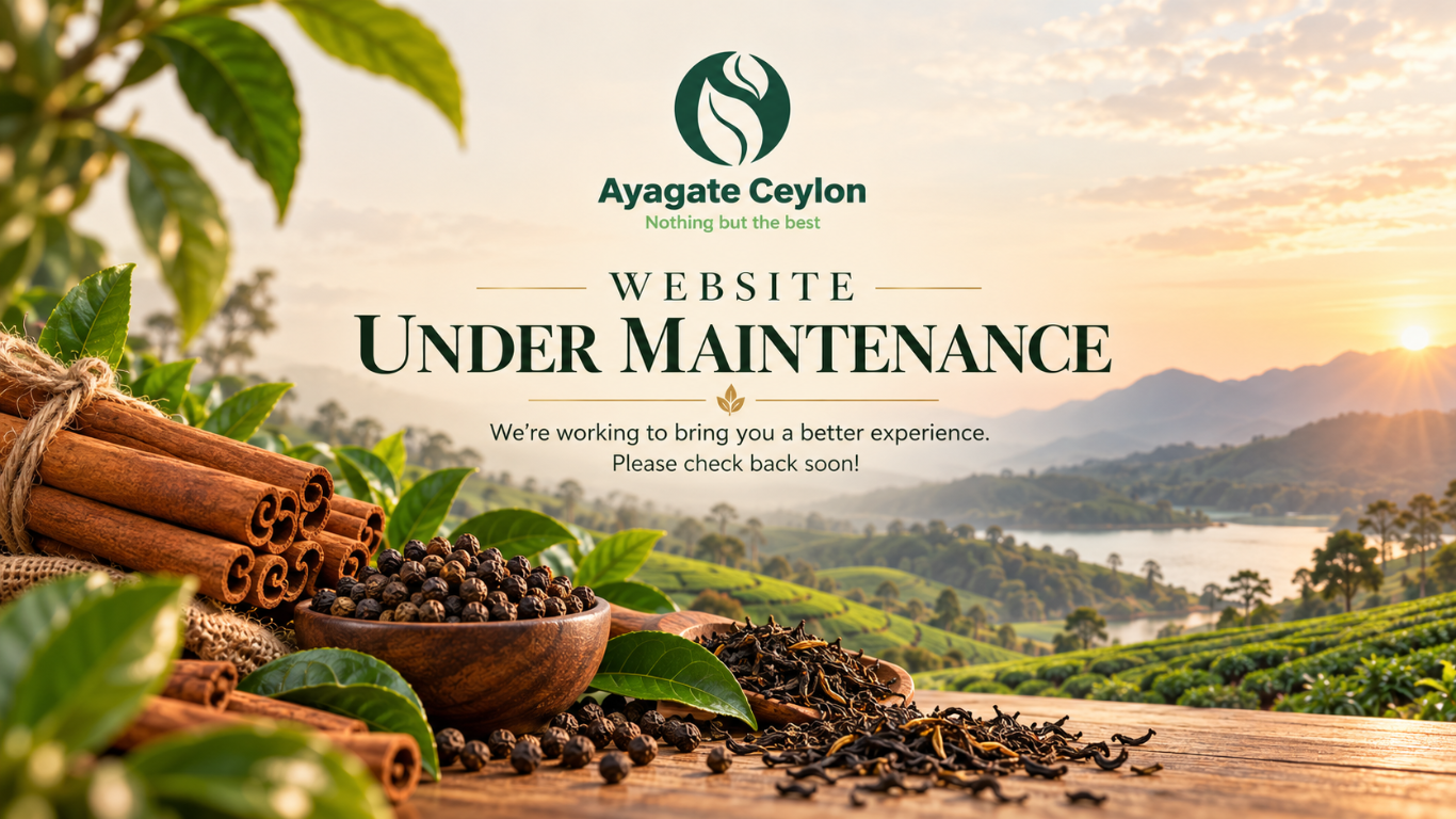 Ayagate Ceylon — Website under maintenance. We’re working to bring you a better experience. Please check back soon.
